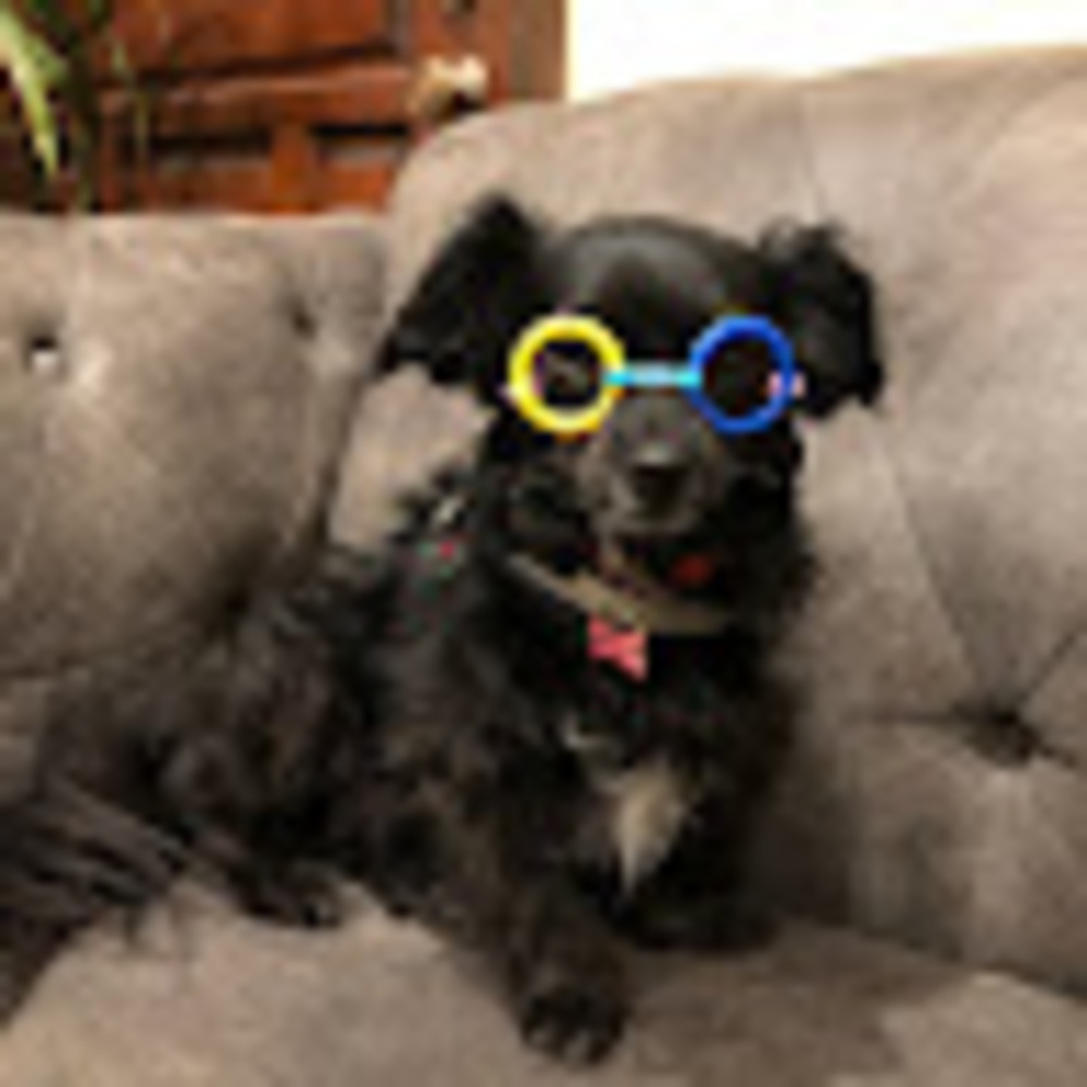 Meet your Posher, My